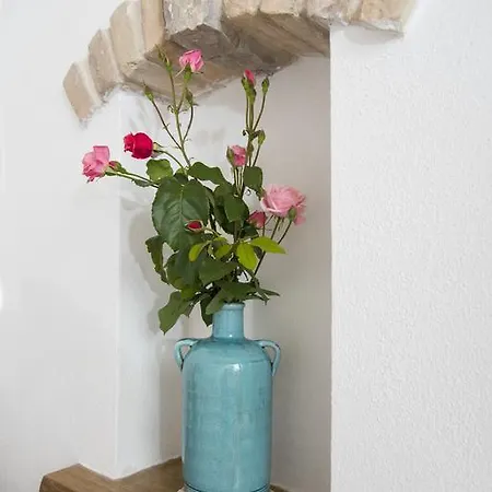 Villae Dalmaticae - Plava Ferienhaus